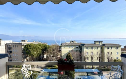 Penthouse mit Terrasse und Seeblick